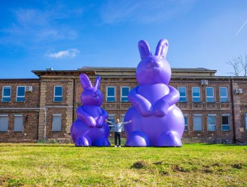 Inflatable rabbits - unusual individual order	