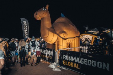 Inflatable camel in the Sahara desert