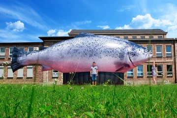 Unusual balloon - a giant salmon